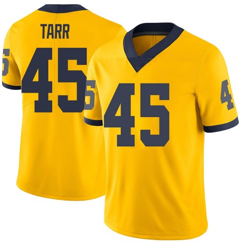 Greg Tarr Michigan Wolverines Youth NCAA #45 Maize Limited Brand Jordan College Stitched Football Jersey IMR8754UZ